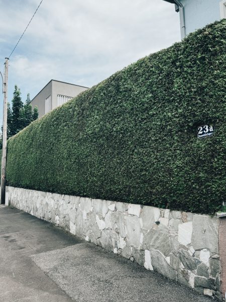 Parkmöglichkeit vor der Praxis